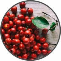 vigrx plus hawthorn berry