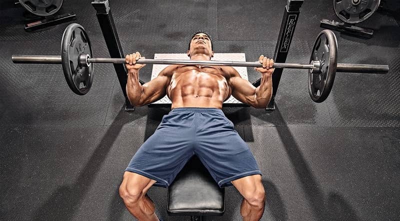 Bench Press