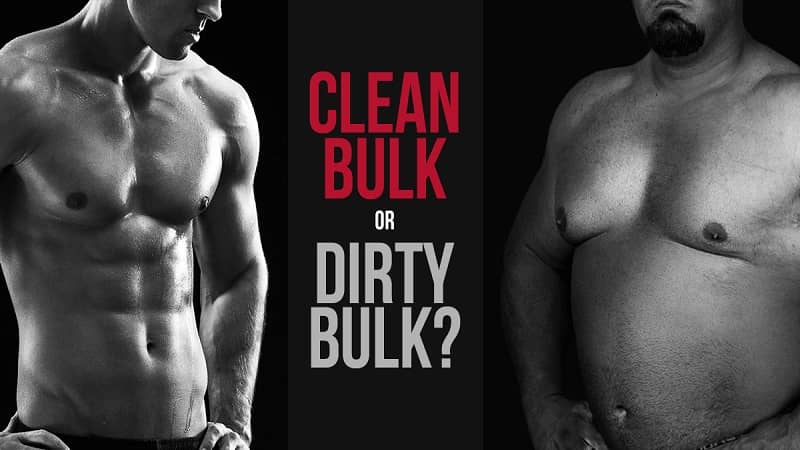Clean Bulk vs Dirty Bulk