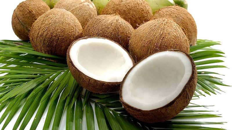 Coconuts Vegan Foods