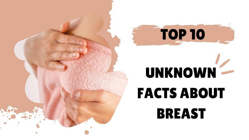 Facts About Breast