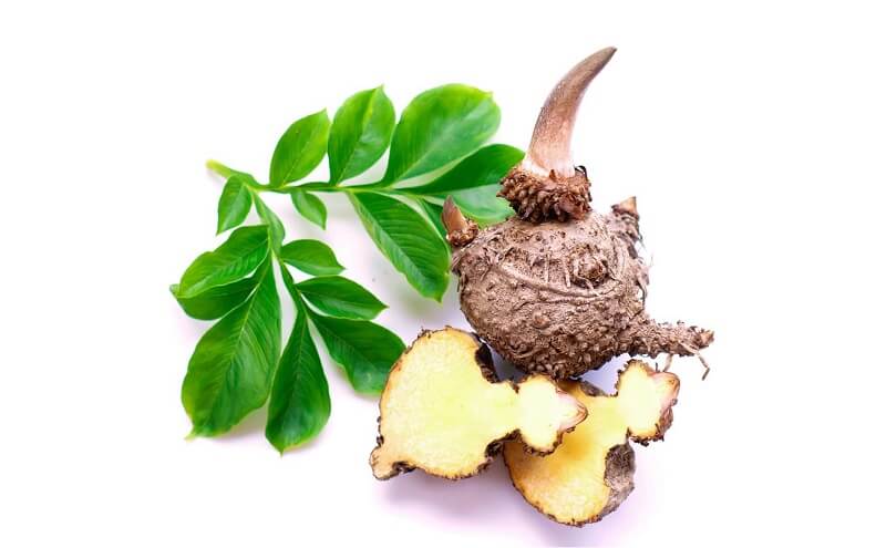 Glucomannan Weight Loss Ingredient