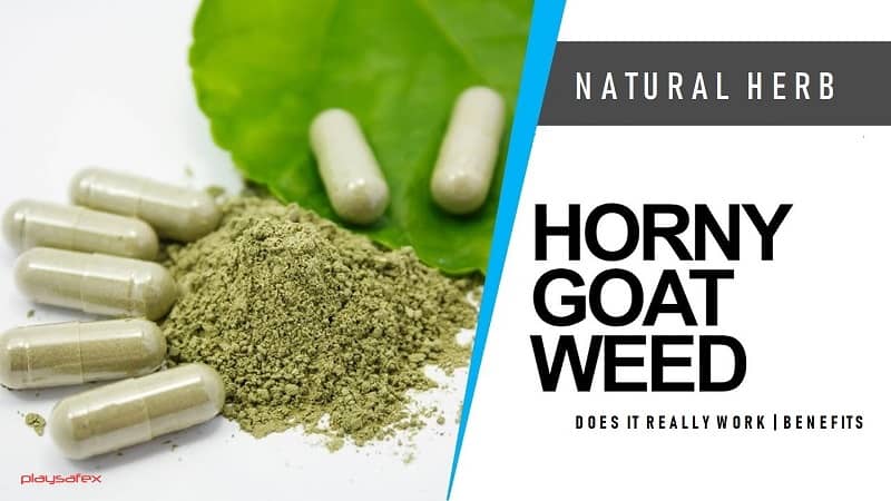Horny Goat Weed Health Benefits