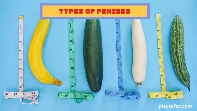 Types of Penises
