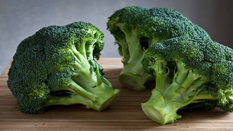 broccoli food
