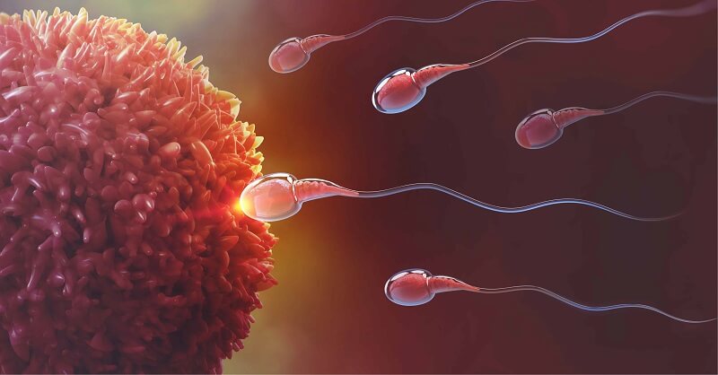 male infertility issue